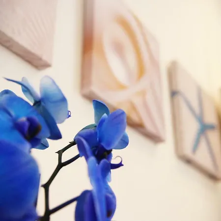 Romeo's House דירה