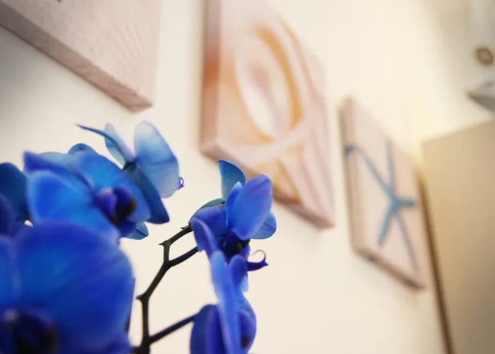 Romeo's House شقة